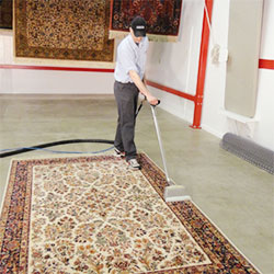 carpet cleaning ipswich ma area